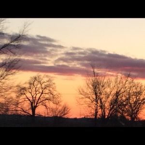 Meet your Posher, Holly